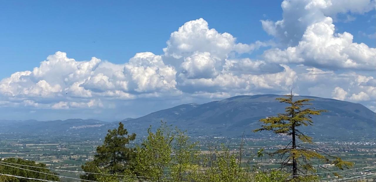 App. Con Terrazza Panoramica In Centro-Montefalco Ngoại thất bức ảnh